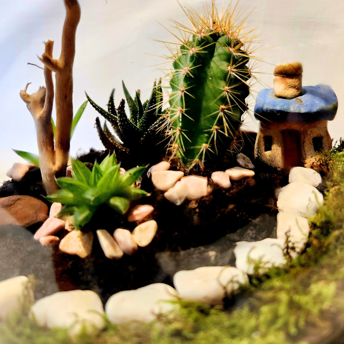 Green Tiny World Terrarium
