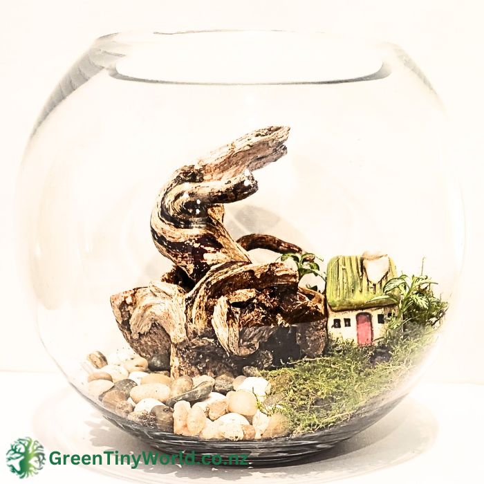 Green Tiny World Terrarium