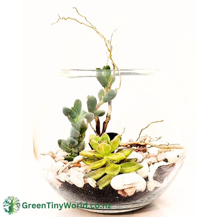 Green Tiny World Terrarium