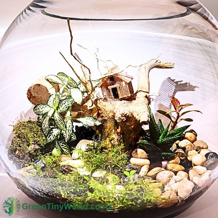 Green Tiny World Terrarium